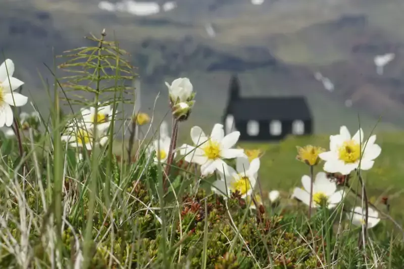 Eglise noire de Budakirkja