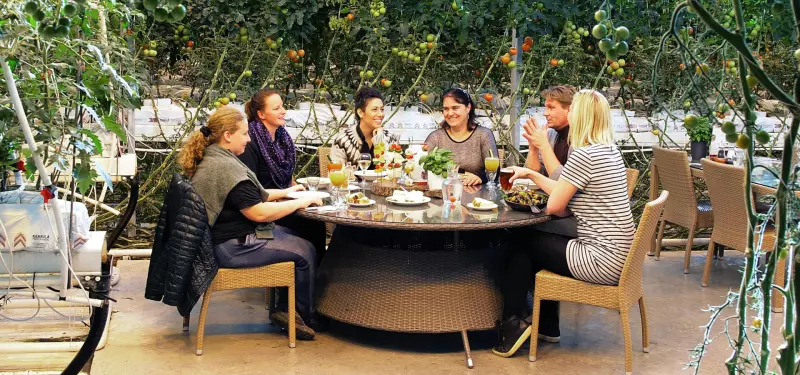 Ferme de Friðheimar